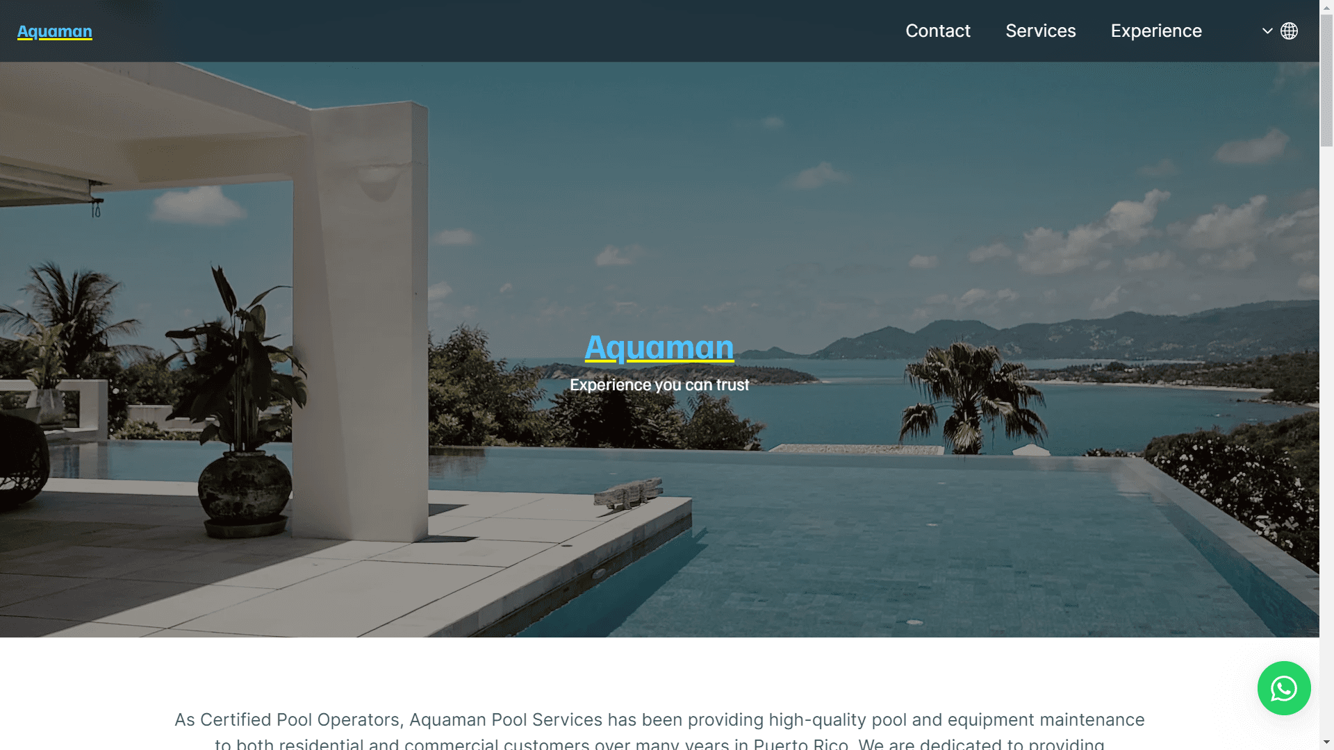 Website - Aquaman Pool Services preview