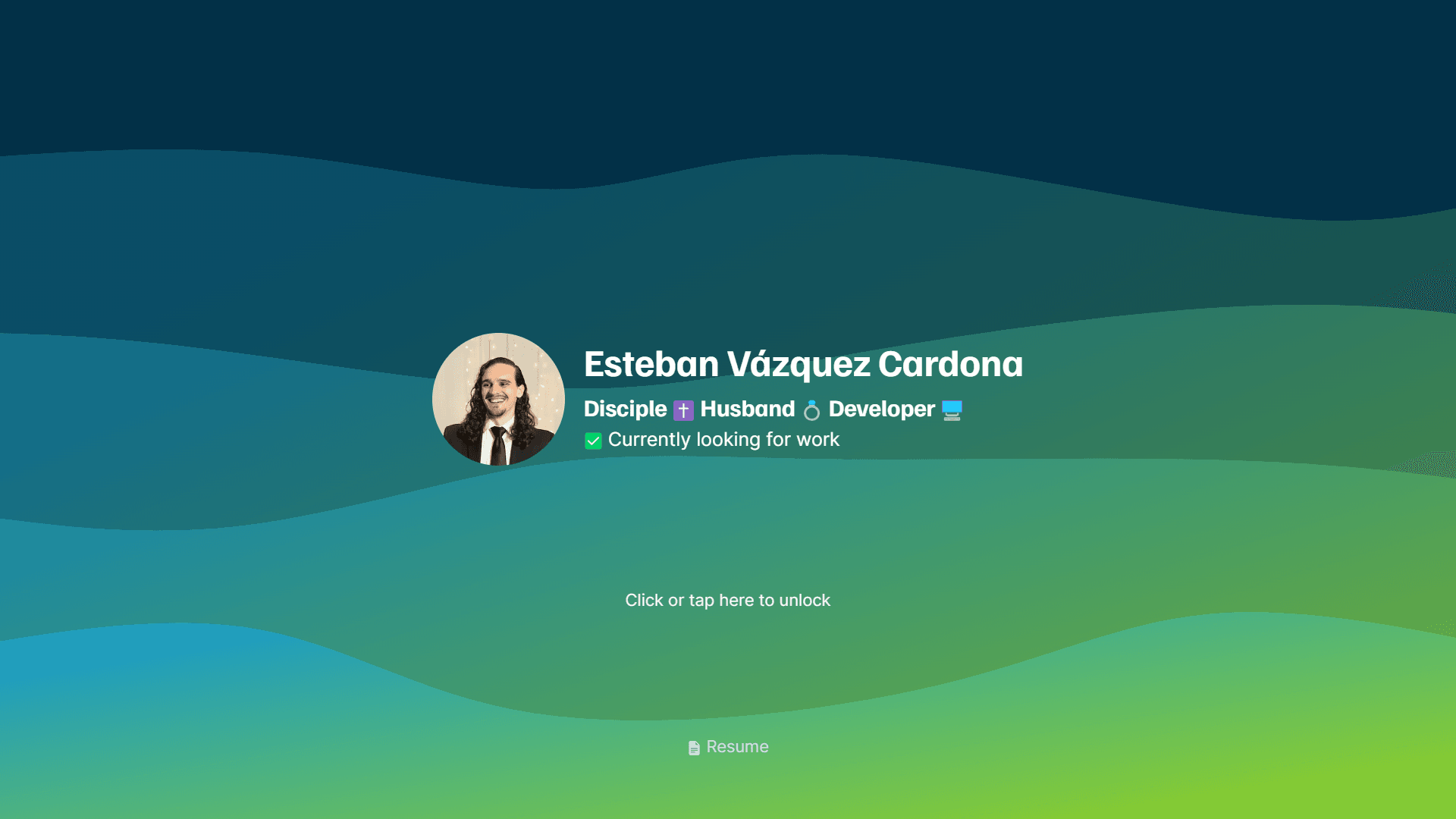 Portfolio preview